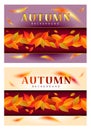 Autumn background set. Royalty Free Stock Photo