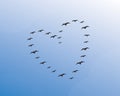 Flying birds silhouettes in shape of a heart on blue sky, vector. Flying birds illustration. Minimalist poster design Royalty Free Stock Photo