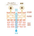 Sectional view of the skin. illustration of damaged skin.