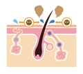 Cause of body odor vector illustration / no text