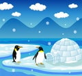 Illustration of penguin house in winter Royalty Free Stock Photo