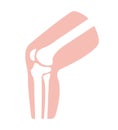 Knee joint section illustration  / no text Royalty Free Stock Photo
