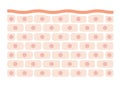 Skin cell pattern flat illustration / rough skin