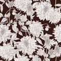 Dahlia. Seamless pattern of brown line dahlia flowers. Floral background.