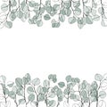 Floral background with hand-drawn branches of silver eucalyptus. Vector illustration with place for text on white background. Inv