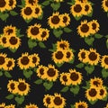 Yellow beautiful sunflower seamless pattern Royalty Free Stock Photo