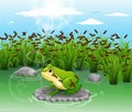 Cute frog beautiful scenery iilustration vector