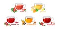 Set of fruit teas in glass cups isolated on white background. Cranberry, rosehip tea, ginger, sea buckthorn and raspberry. Royalty Free Stock Photo