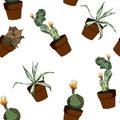 Different green plants in pots seamles pattern for inside and outside. Royalty Free Stock Photo