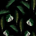 Many kinds of exotic leaves seamless pattern. Black background.