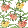 Tropical floral summer seamless pattern background with orange yellow plumeria flowers branch. Royalty Free Stock Photo