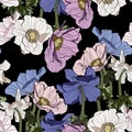 Anemone. Seamless pattern of line colored vintage flowers.