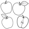 Apple fruits on white background. Vector illustrations with whole and cut fruits. Vector black and white coloring page.