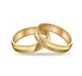 Two golden rings Royalty Free Stock Photo