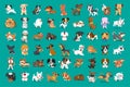 Different type of vector cartoon dogs Royalty Free Stock Photo