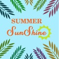Summer holidays wallpaper background, summer sunshine vector ilustration design