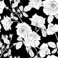 Elegant seamless pattern with hand drawn line roses flowers.