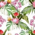 Tropical  exotic flowers, palm trees floral seamless pattern white background. Royalty Free Stock Photo
