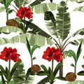 Tropical vintage red flowers, palm trees, banana tree floral seamless pattern white background. Royalty Free Stock Photo