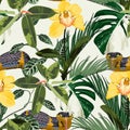 Tropical floral summer seamless pattern background with yellow orchid flowers branch