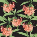 Tropical floral summer seamless pattern background with orange plumeria flowers.