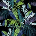 Exotic leaves and branches, many kinds of dark blue and bright green plants seamless pattern.