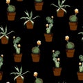 Different green plants in pots seamles pattern for inside and outside. Royalty Free Stock Photo