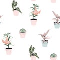 Different green plants in pots seamles pattern for inside and outside. Royalty Free Stock Photo