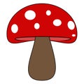 Fresh mushroom illustration