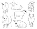 Domestic Cow Cute Cartoon Vector Coloring Book