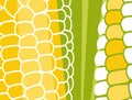 Abstract vegetable design in flat cut out style. Close up image of corn on the cob.