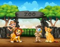 The zookeeper boys and wild animals in the zoo