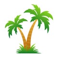 Palm/coconut tree Royalty Free Stock Photo