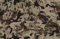 Woodland grunge camouflage, seamless pattern. Military urban camo texture  Army or hunting green and brown colors. Royalty Free Stock Photo