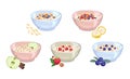 Set of Oat milk porridge in bowl isolated on white background. Oatmeal with apple, cinnamon, banana, blueberry, strawberry,raisins Royalty Free Stock Photo
