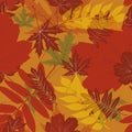 Brown orange vector leaves seamless pattern