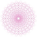 Pink mandala pattern on white background Royalty Free Stock Photo