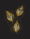 Vector illustration leaves and in doodle style. Floral, ornate, decorative, tribal vector design elements Royalty Free Stock Photo