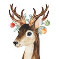 Winter composition with conifer branches,toys and cute deer.Handpainted watercolor illustration
