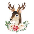 Winter composition with leaves,branches,flowers,berries,holly and cute deer.