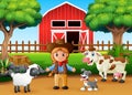 A beautiful cowgirl and farm animal in front the barn