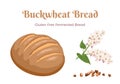Gluten Free Buckwheat Bread Isolated on white background. Fresh pastries, flowering buckwheat and heap of grain. Royalty Free Stock Photo