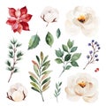 Botanical set with leaves,branches,berries,rose,poinsettia,cotton flower.