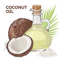 Vector coconut with coconut oil in glass bottle. Whole and pieces. Illustration in flat cartoon style
