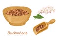 Buckwheat brown groats in a wooden bowl and spoon isolated on a white background. Vector illustration of healthy food