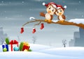 Owls couple in christmas hats on the tree branch Royalty Free Stock Photo