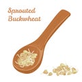 Sprouted grains of green buckwheat in wooden spoon isolated on white background.