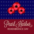 Pearl Harbor Remembrance Day Royalty Free Stock Photo