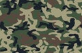 Vector camouflage green khaki pattern background, camo seamless. Classic military clothing
