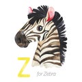 Cute Zebra for Z letter.